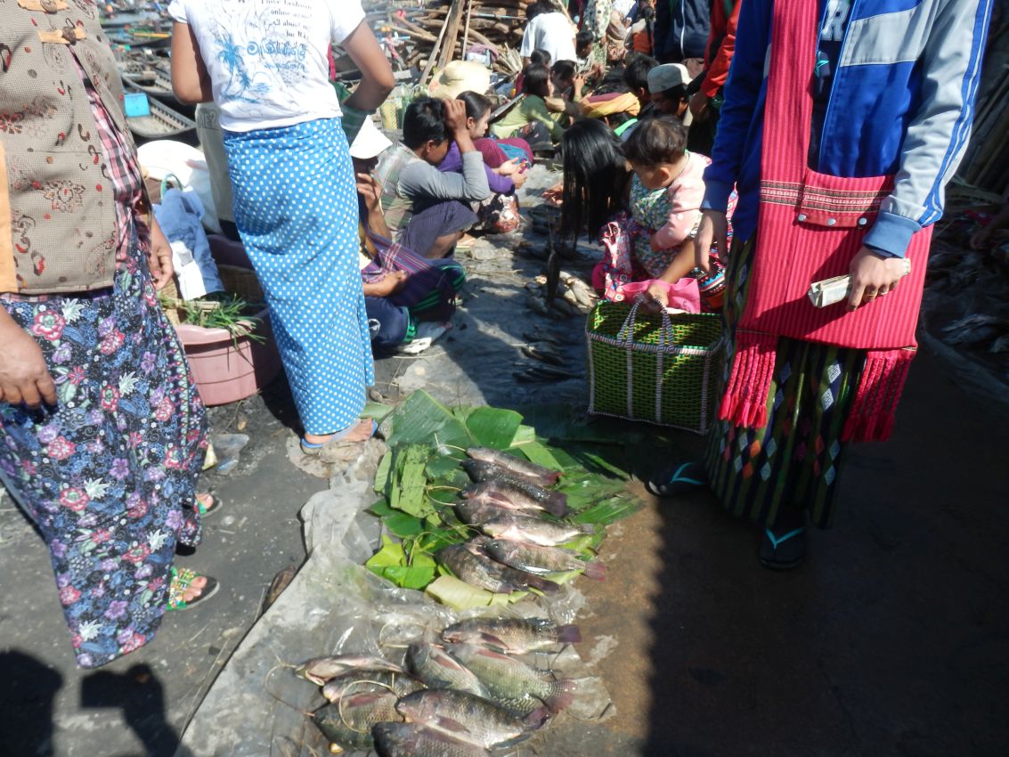 שוק הדגים בצון, בורמה
