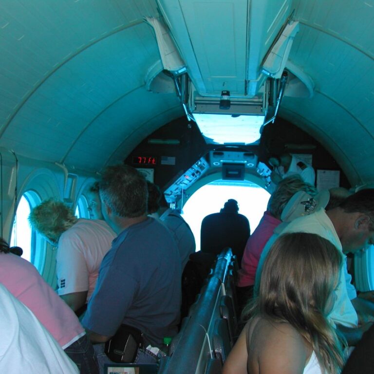 שיט בצוללת מתחת למימי פרל הארבור