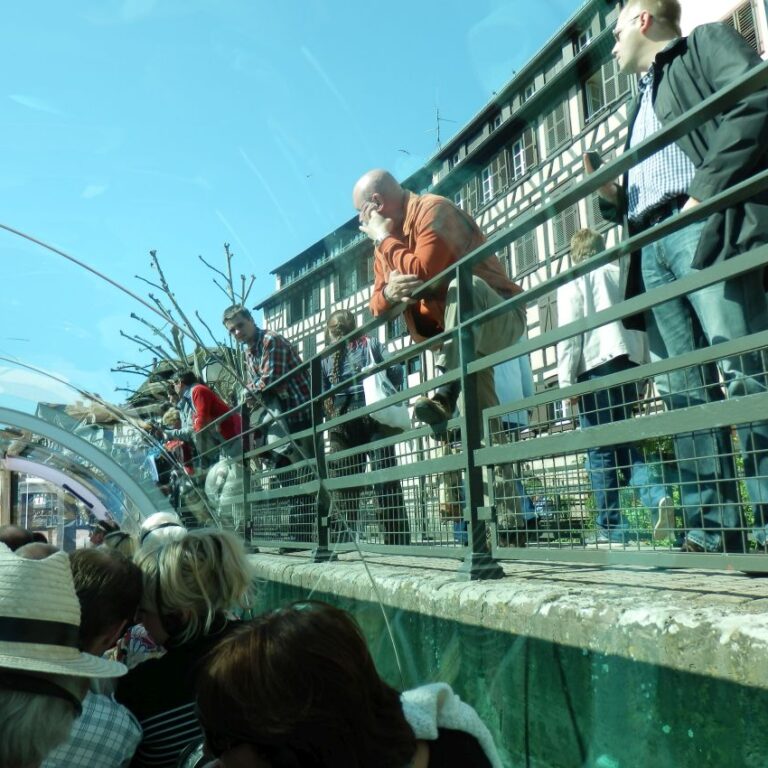 שיט מלווה בקהל בתעלות שרבורג