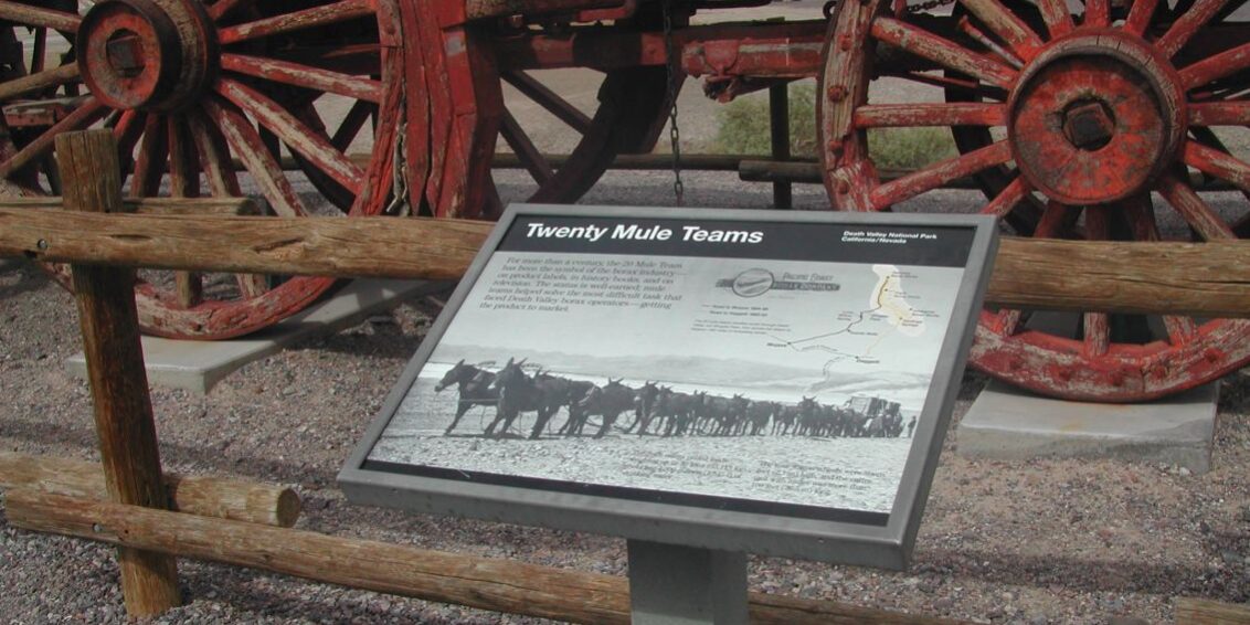 שיירות בעמק המוות נגררו על ידי לא פחות מ-20 פרדות