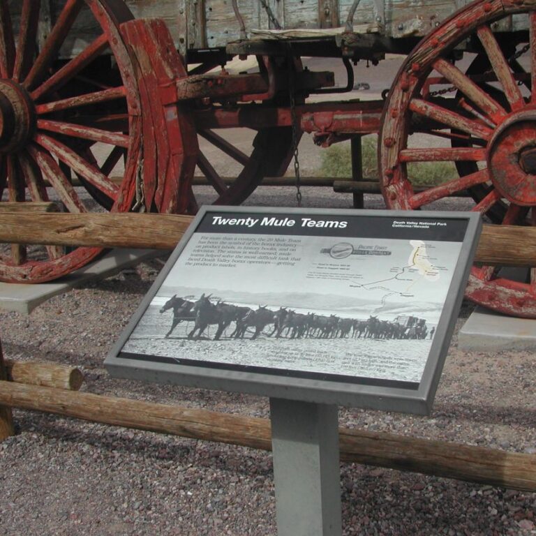 שיירות בעמק המוות נגררו על ידי לא פחות מ-20 פרדות