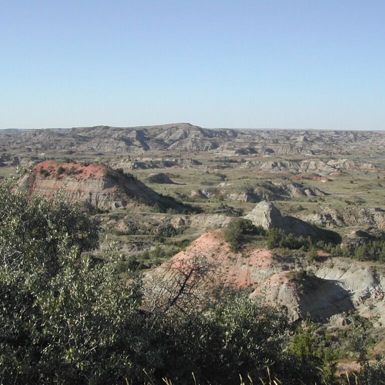 תיאודור רוזבלט התבודד בפארק הזה