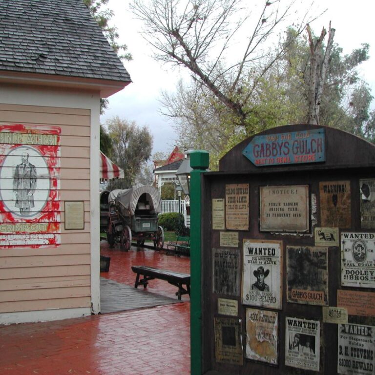 תמונות מבוקשים באריזונה