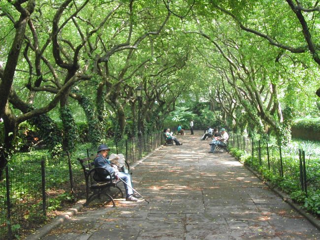 תנומת צהרים לזקני הסביבה בניו יורק