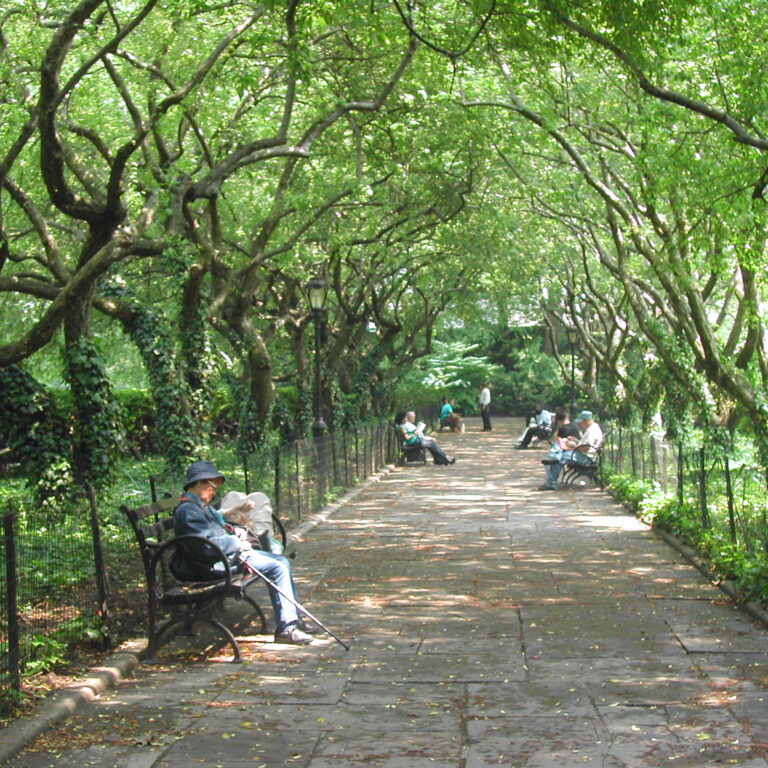 תנומת צהרים לזקני הסביבה בניו יורק