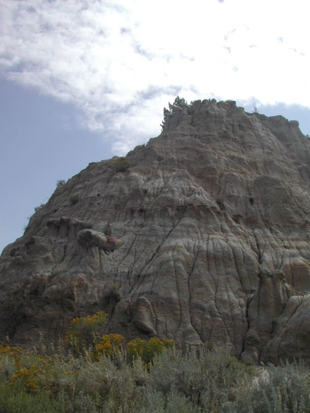 תצורות סלע ייחודיות בפארק רוזבלט