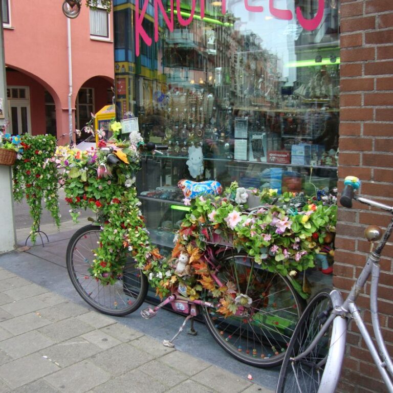 אופניים פרחוניות באמסטרדם, הולנד-