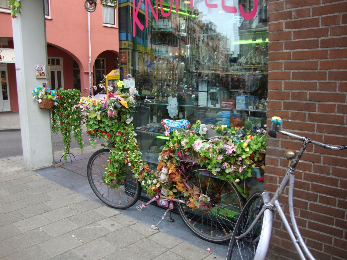 אופניים פרחוניות באמסטרדם, הולנד-