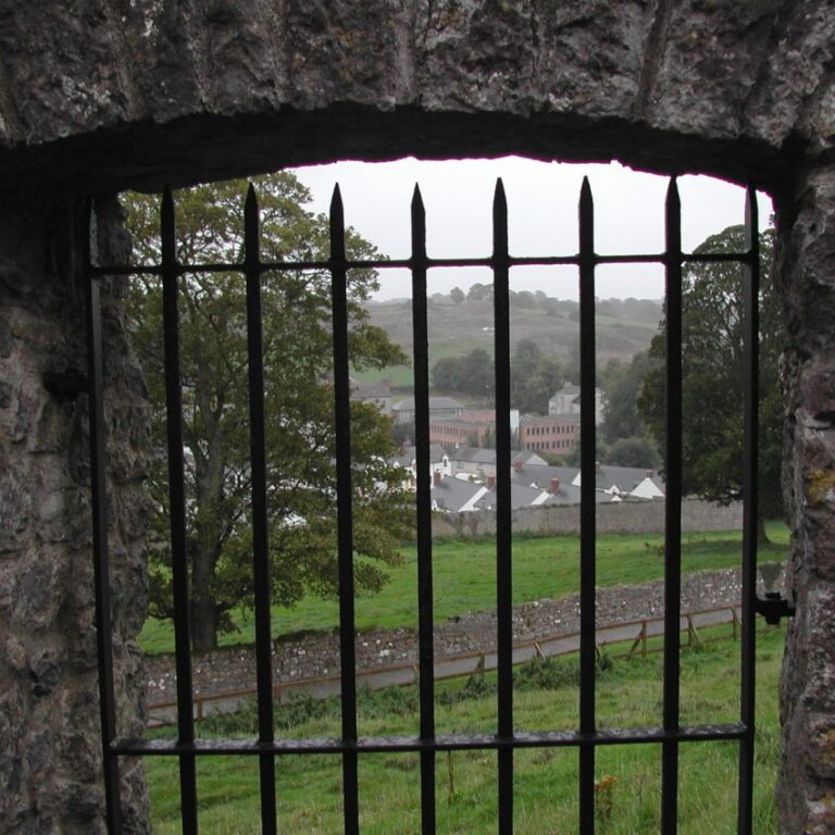 אירלנד מבעד לסורגים