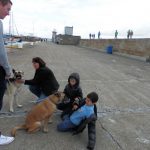 נכדי האיריים משתעשעים עם כלב ים בנמל הדייגים של דרוגדה