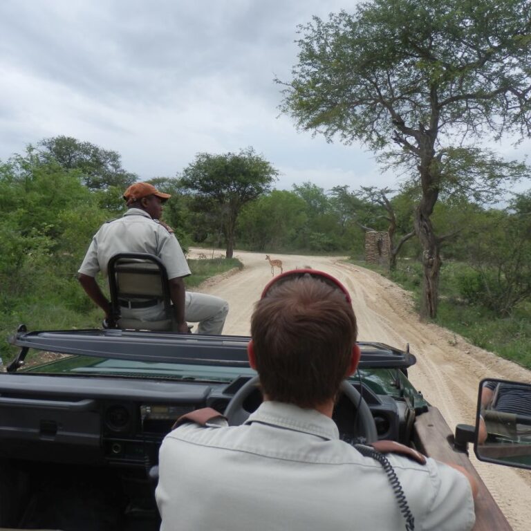 יציאה לספארי במאלה מאלה