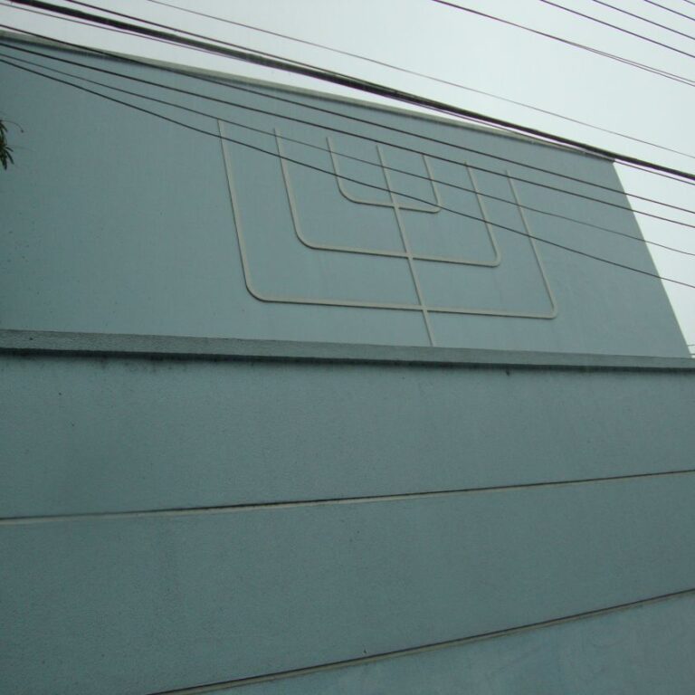 בית הכנסת במנאוס באמזונס