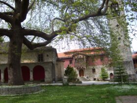 בכל עיירה יוונית יש מקום נכבד לעצים עתיקים