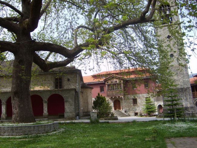 בכל עיירה יוונית יש מקום נכבד לעצים עתיקים