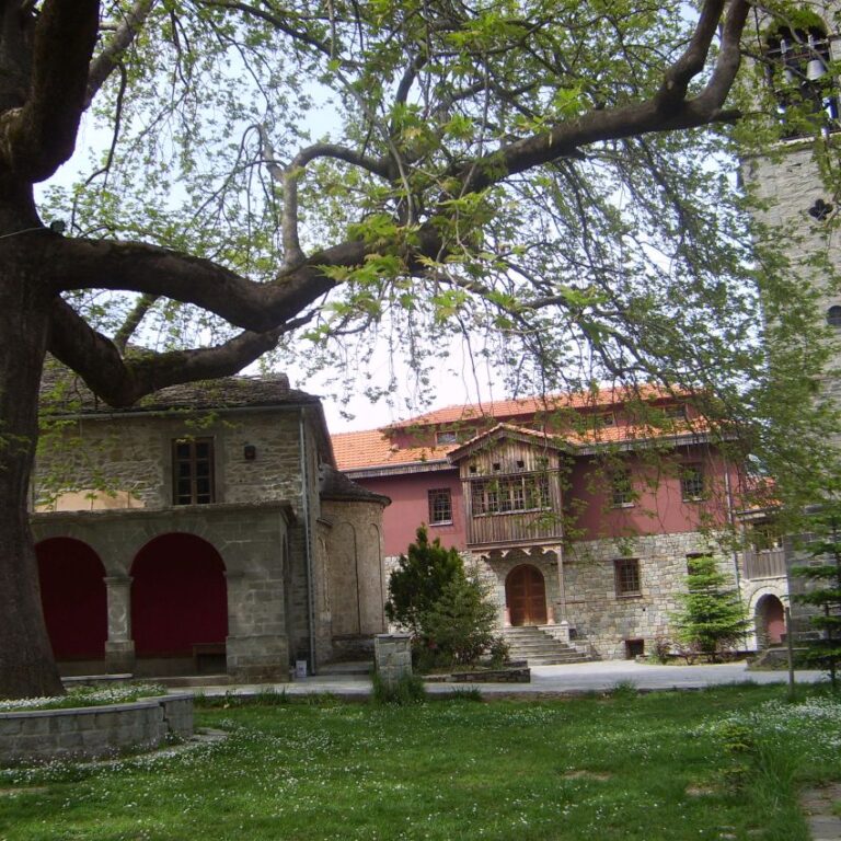 בכל עיירה יוונית יש מקום נכבד לעצים עתיקים