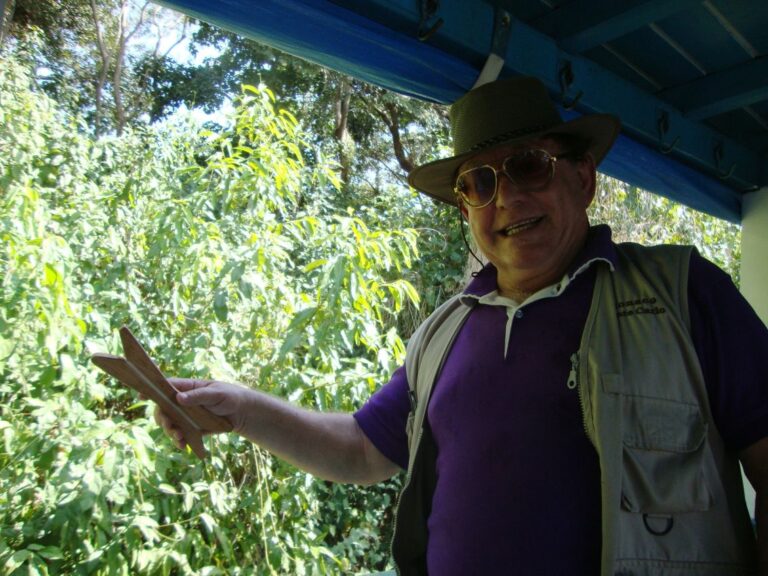 בסירת משוטים ביובל של נהר האמזונס