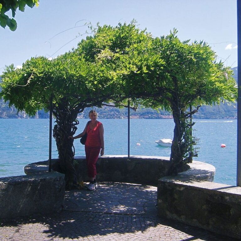 בצל עצים באגם קומו