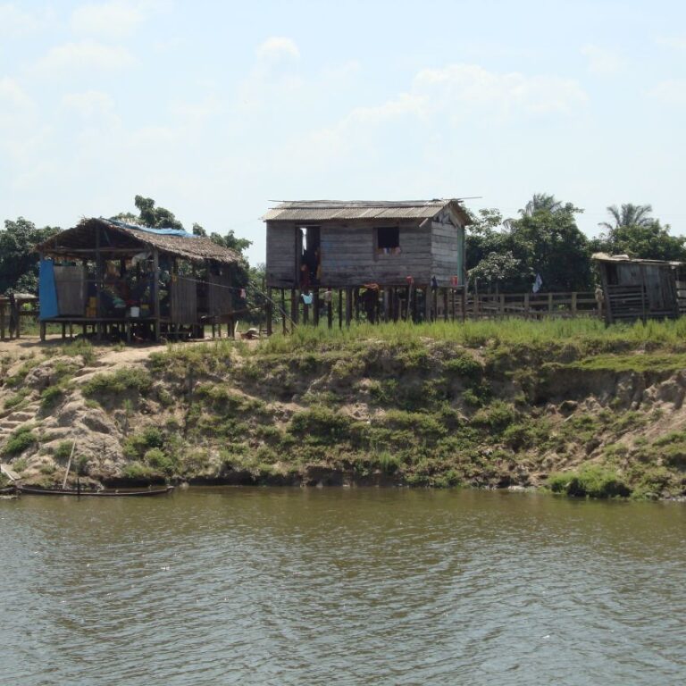 בתי תושבים על גדות האמאזונס