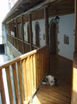 גם חתולה הצטרפה למנזר