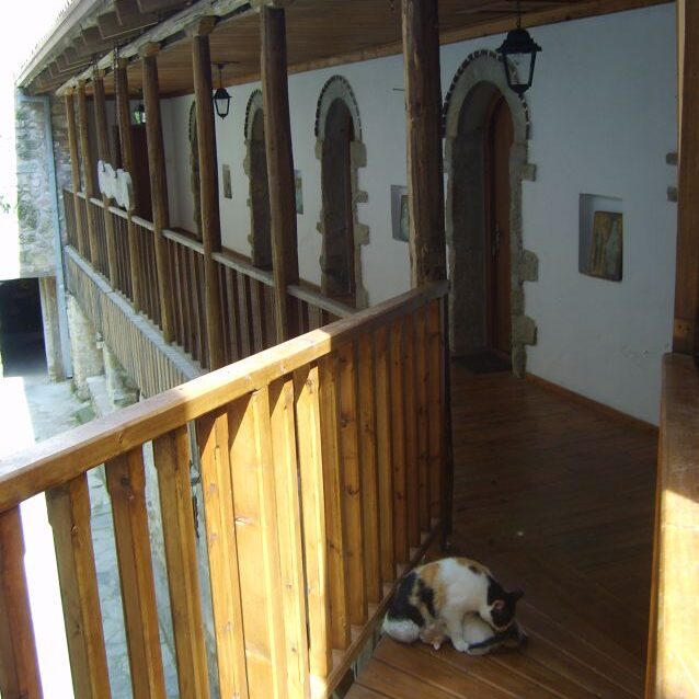 גם חתולה הצטרפה למנזר