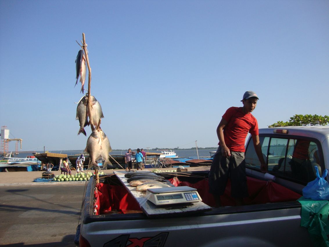 דייג באמזונס מביא את סחורתו לגדת הנהר