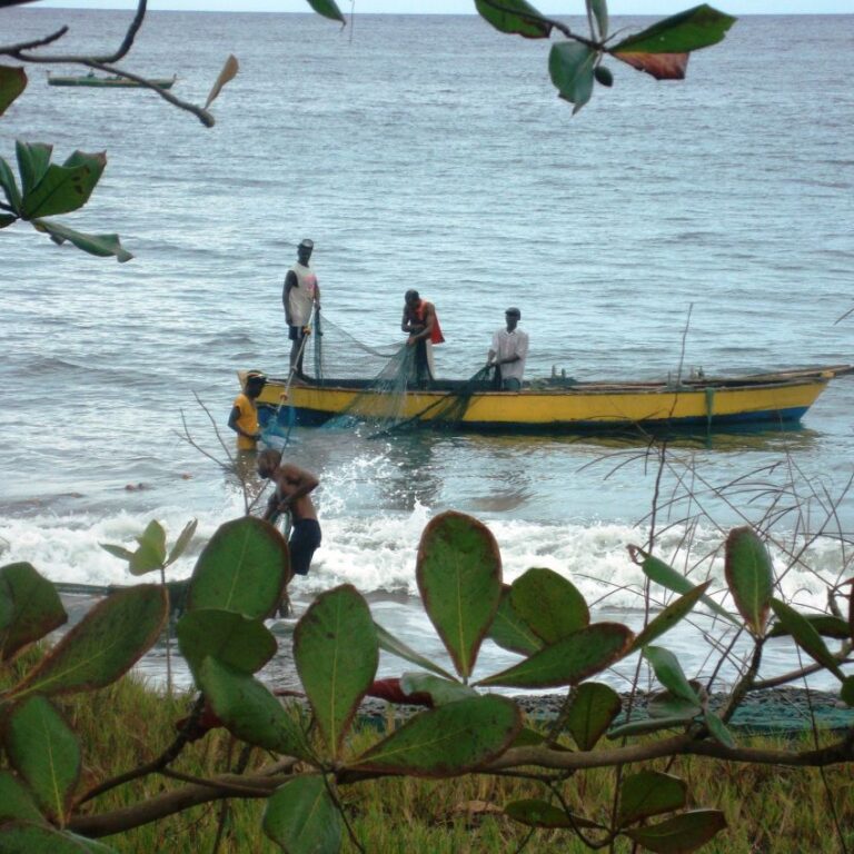 דייגים בג'מייקה
