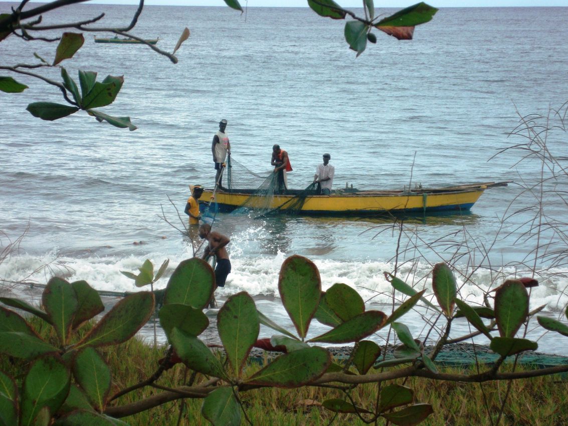 דייגים בג'מייקה