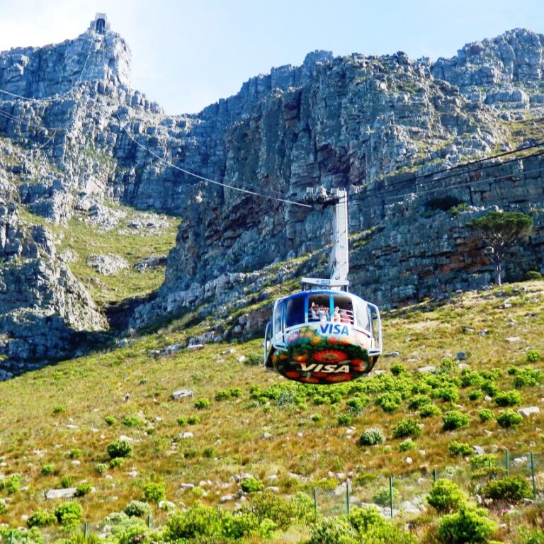 במעלה הר השולחן בקייפטאון