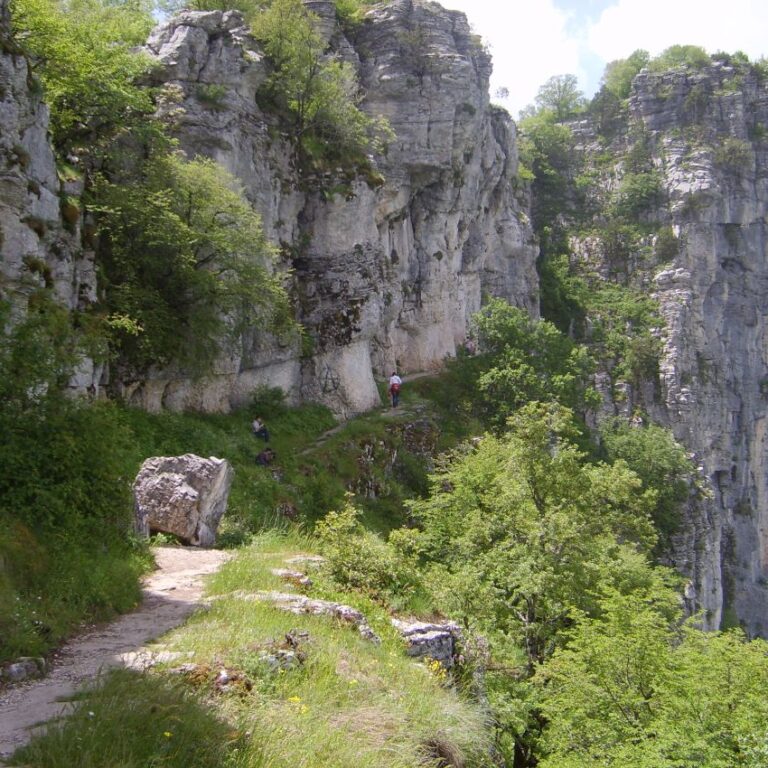 הדרך המפותלת אל נקודת התצפית