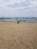 החוף של מפרץ טרמיקוס