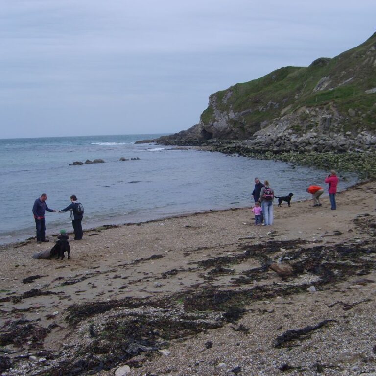 החופים השכוחים של קורנוול