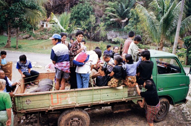 הכביש היחיד בפאפואה שנבנה בידי הגרמנים לפני מלחמת העולם הראשונה