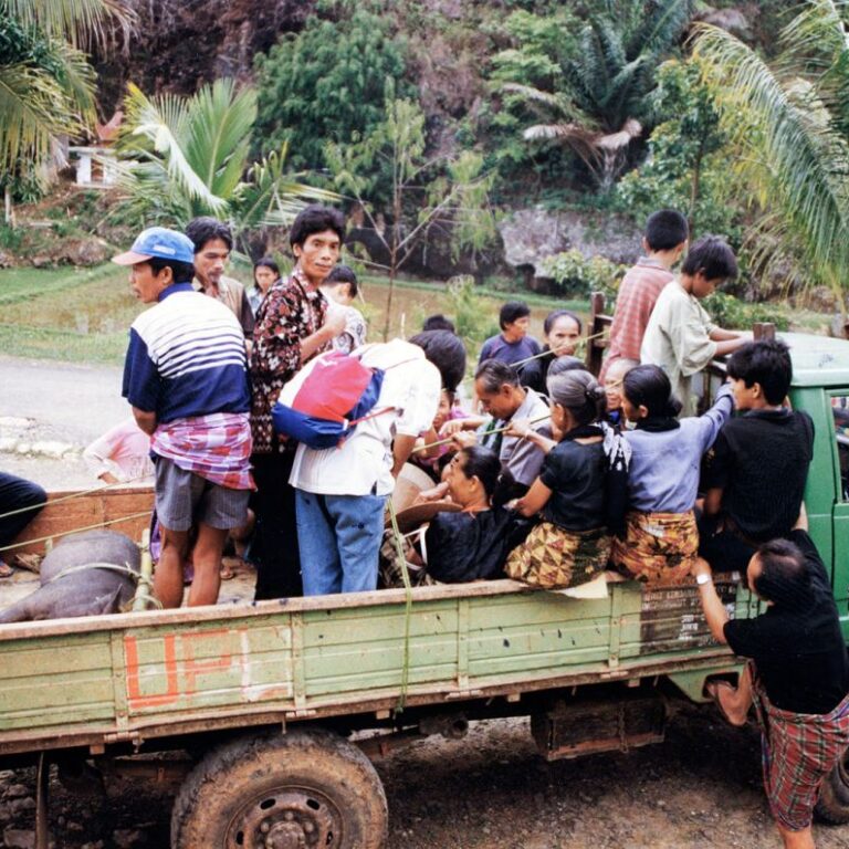 הכביש היחיד בפאפואה שנבנה בידי הגרמנים לפני מלחמת העולם הראשונה
