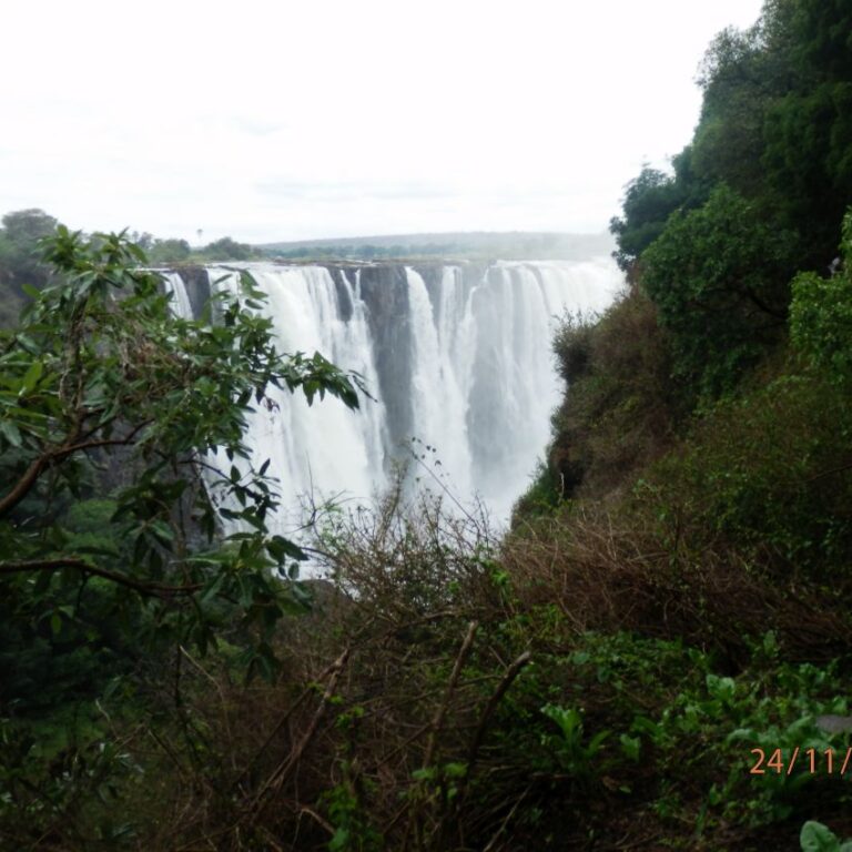מפללי ויקטוריה אדירים גם בעונת השפל