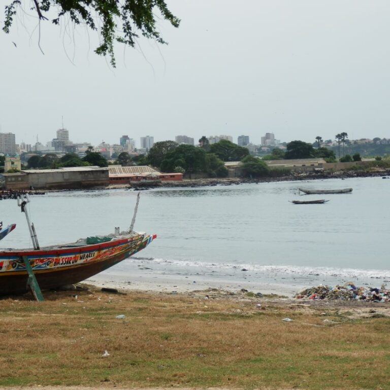 חופה של העיר דקר בסנגל