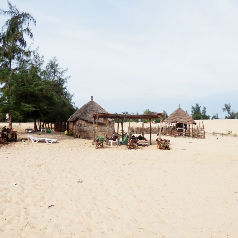 אורח החיים בסנגל ,אפריקה