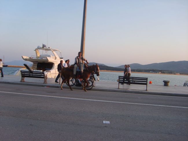 לרכב על חמור בהנאה ברביירה של וולוס