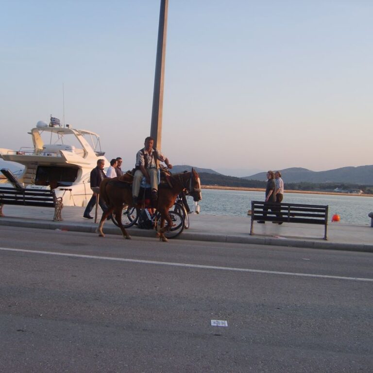 לרכב על חמור בהנאה ברביירה של וולוס