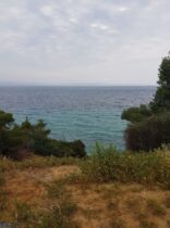 לשון היבשה האמצעית בחלקידיקי שנקראת בשם סיתוניאה