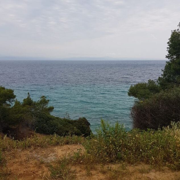 לשון היבשה האמצעית בחלקידיקי שנקראת בשם סיתוניאה