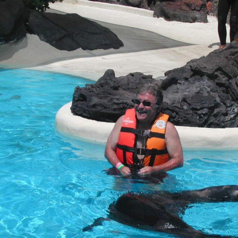 לשחות עם כלבי ים בהוואי