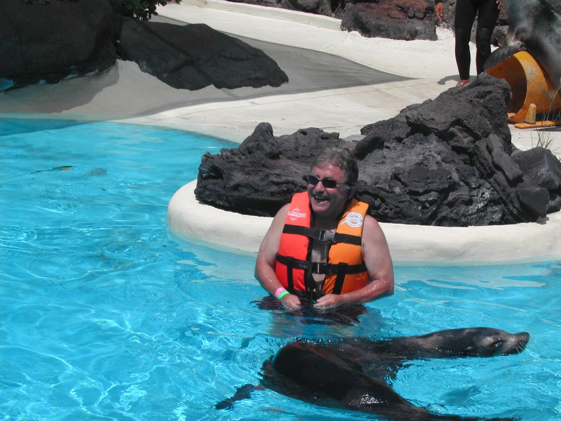 לשחות עם כלבי ים בהוואי
