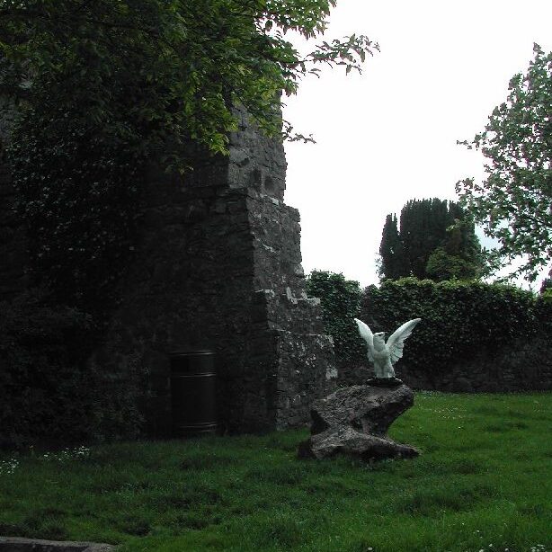 מבצר הרוס לאורך נהר שאנון