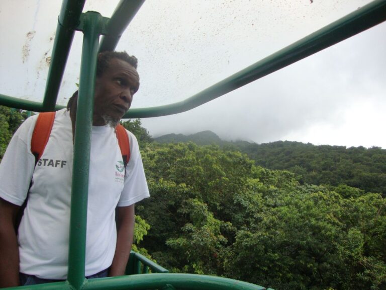 מדריך הגונגל הקאריבי