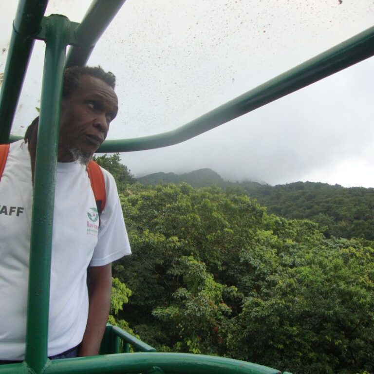 מדריך הגונגל הקאריבי