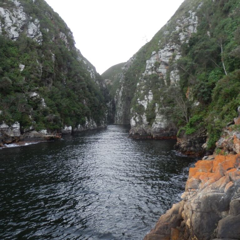 ממפרצי נתיב הגנים