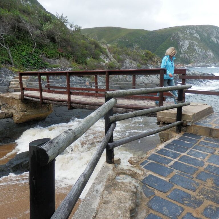 מנקודות התצפית הקסומות בנתיב הגנים