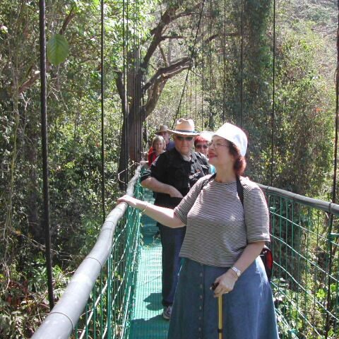 מסע על הצמרות בקוסטה ריקה