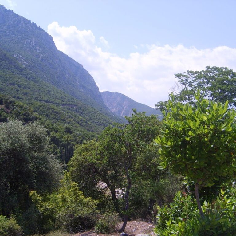 מעבר טרמופלי בו עצרו 300 לוחמים ספרטנים את הצבא הפרסי הענק