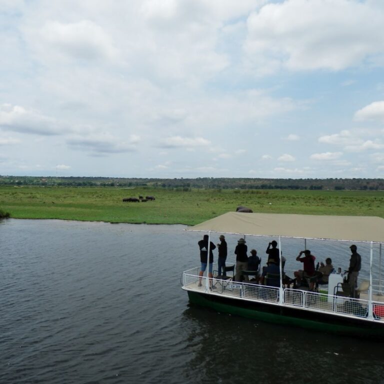 מפליגים לעבר עדר ההיפו בנהר הזמבזי